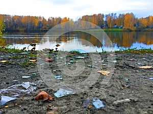 Plastic and glass in the forest, in the lake, garbage in nature, ecology in danger