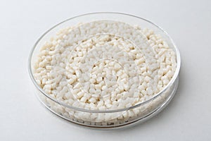 Plastic granules in petri dish on gray background, closeup