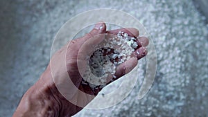 Plastic granules are poured from the hand. Plastic granules, dye, polymer granules are used for the production of