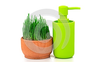 Plastic green bottle with fresh sprouts of wheat in wooden bowl