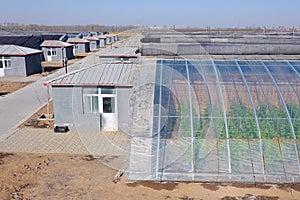 Plastic greenhouse