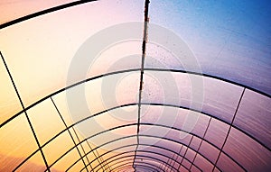 Plastic greenhouse cover with rusty frame at sunset