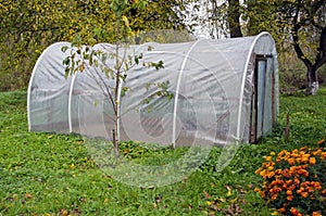 Plastic greenhouse hothouse in autumn farm garden