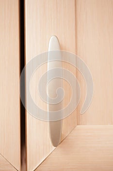 Plastic handle on wooden Cabinet door