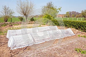 Plastic home-made greenhouse in an organic vegetable garden