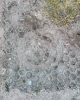 Plastic honeycomb plate retains soil and moisture from the honeycomb
