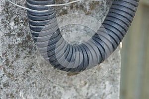 Plastic hose on a  gray concrete pole outside