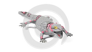 Plastic house lizard toy isolated on white background
