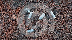 Plastic hunting cartridge cases on the ground in pine forest during autumn hunting season