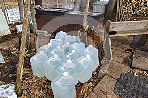 Plastic jugs full of sap next to Maple Syrup boiler