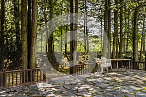 Plastic lawn chairs beside wooden table on patio