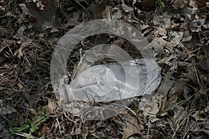 Plastic laying on the ground