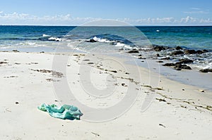 Plastic litter on tropical shore