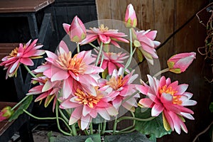 Plastic lotus flower in the pot for decoration