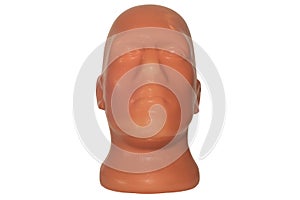 Plastic mannequin head