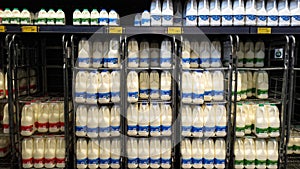 Plastic milk bottles of whole, semi and skimmed milk for sale in a supermarket chiller