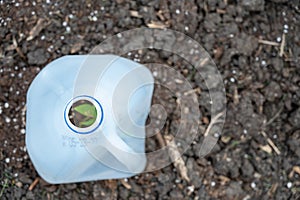 Plastic milk jug cut in half to cover garden plants to protect from pests