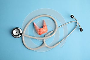 Plastic model of afflicted thyroid and stethoscope on light blue background, flat lay