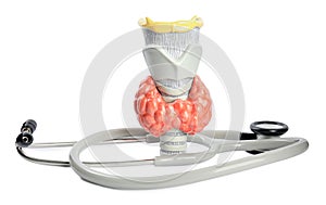 Plastic model of afflicted thyroid and stethoscope on white background