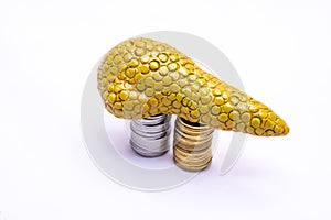 Plastic model of diseased pancreas gland on two piles of coins on white background. Medicine, treatment, transplantation and econo