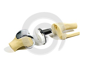 Plastic model of a knee replacement photo