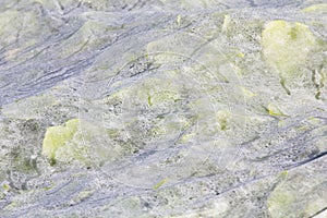 Plastic mulch and cucumber leaves