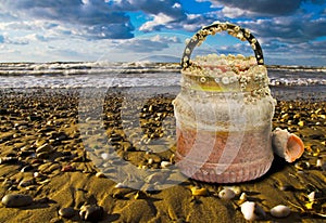 Plastic overgrown with shells on coast