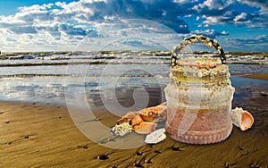 Plastic overgrown with shells on coast