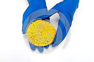 Plastic pellets . Colorant for polymers in granules. Plastic pellets in the hands with gloves and tweezers