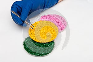 Plastic pellets . Colorant for polymers in granules. Plastic pellets in the hands with gloves and tweezers