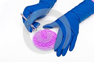 Plastic pellets . Colorant for polymers in granules. Plastic pellets in the hands with gloves and tweezers