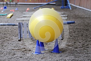 Plastic physioball on the sand during training for beginner riders and horses at riding school indoors