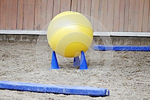 Plastic physioball on the sand during training for beginner riders and horses at riding school indoors