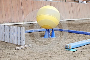 Plastic physioball on the sand during training for beginner riders and horses at riding school indoors