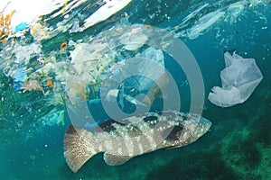 Plastic pollutes the sea with fish