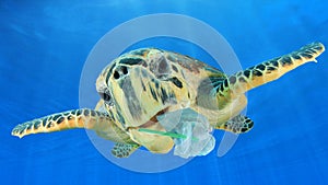 Plastic pollutes the sea with Turtle