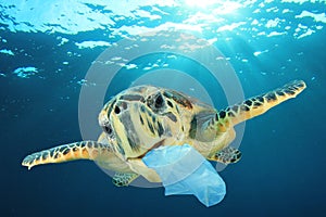 Plastic pollutes the sea with Turtle