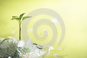 Plastic pollution control concept and green plant