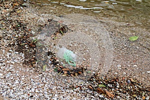 Plastic pollution environmental problem on the beach of the big city. Empty used dirty plastic.