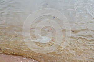 Plastic pollution environmental problem on the beach of the big city. Empty used dirty plastic.