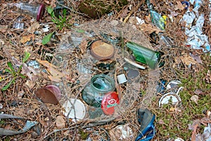 Plastic pollution found in the forrest. The accumulation of plastic objects in the Earth`s environment adversely affects wildlife