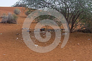 Plastic pollution and garbage dumping in the desert sand under a tree. Need for awareness of environmental protection, recycling,