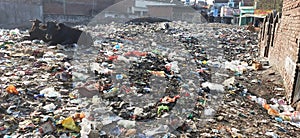 Plastic pollution in India, cows sitting on the garbage