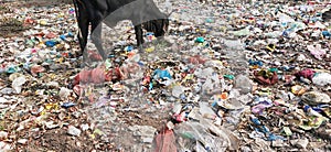 Plastic pollution in India . Dumping side in india.