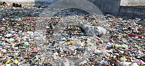 Plastic pollution in India, stop using unnessary  plastic
