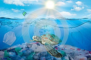Plastic pollution in img