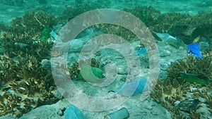 Plastic pollution of the ocean. Seabed covered plastic and other trash.