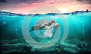 Plastic Pollution In Ocean - Turtle Eat Plastic Bag