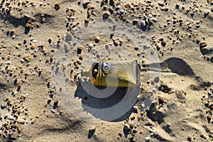 Plastic pollution of the shore