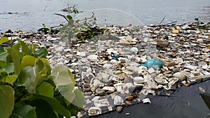 Plastic pollution in water.
